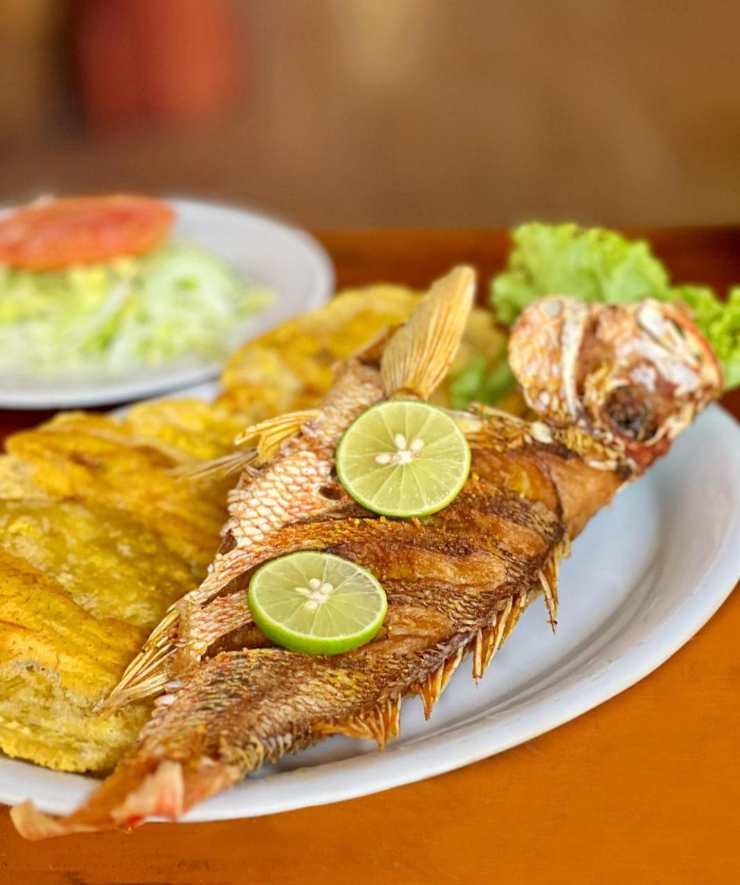 Arca Tayrona Restaurant & Hostal ลอสนารานฆอส ภายนอก รูปภาพ