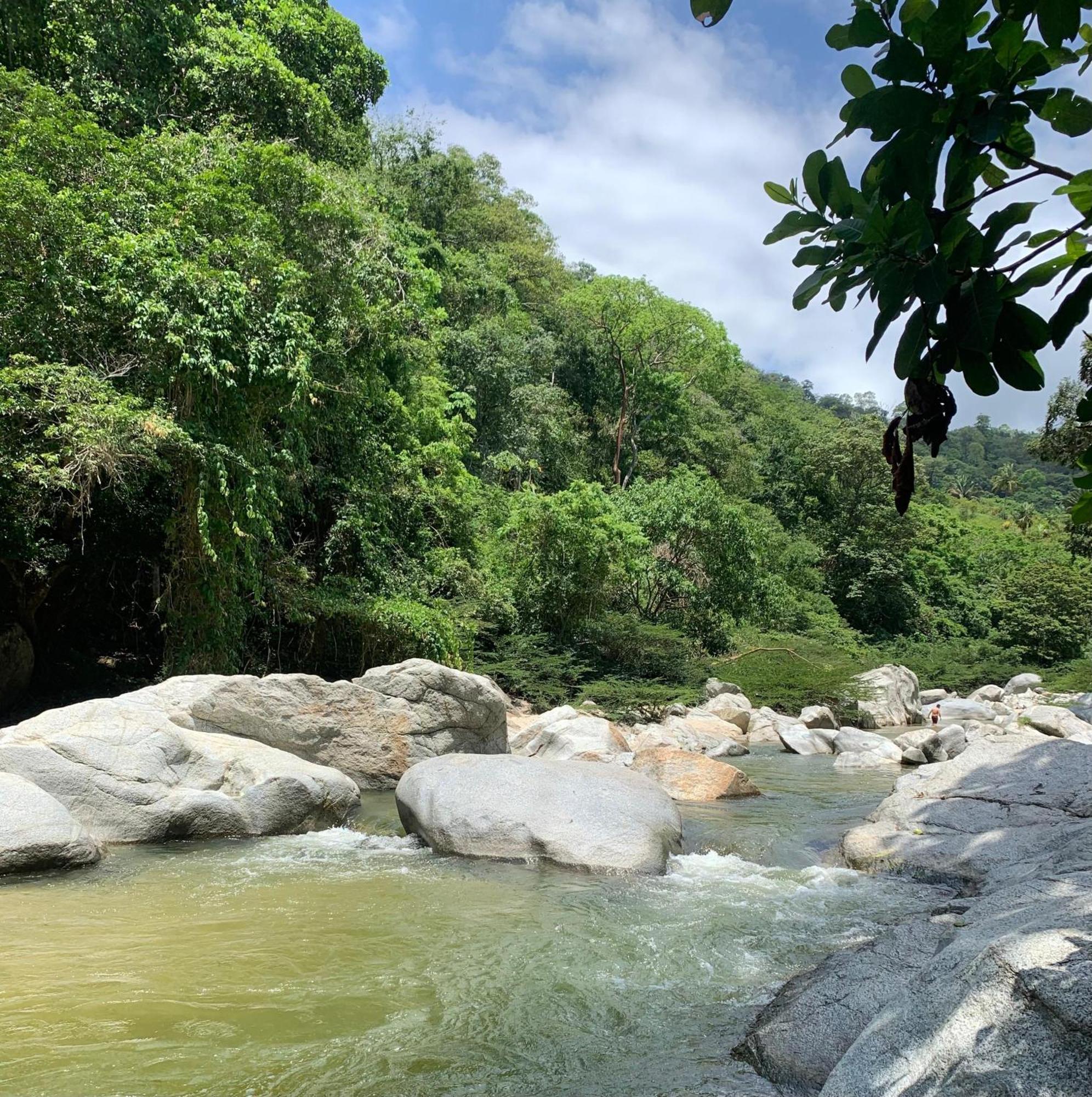 Arca Tayrona Restaurant & Hostal ลอสนารานฆอส ภายนอก รูปภาพ